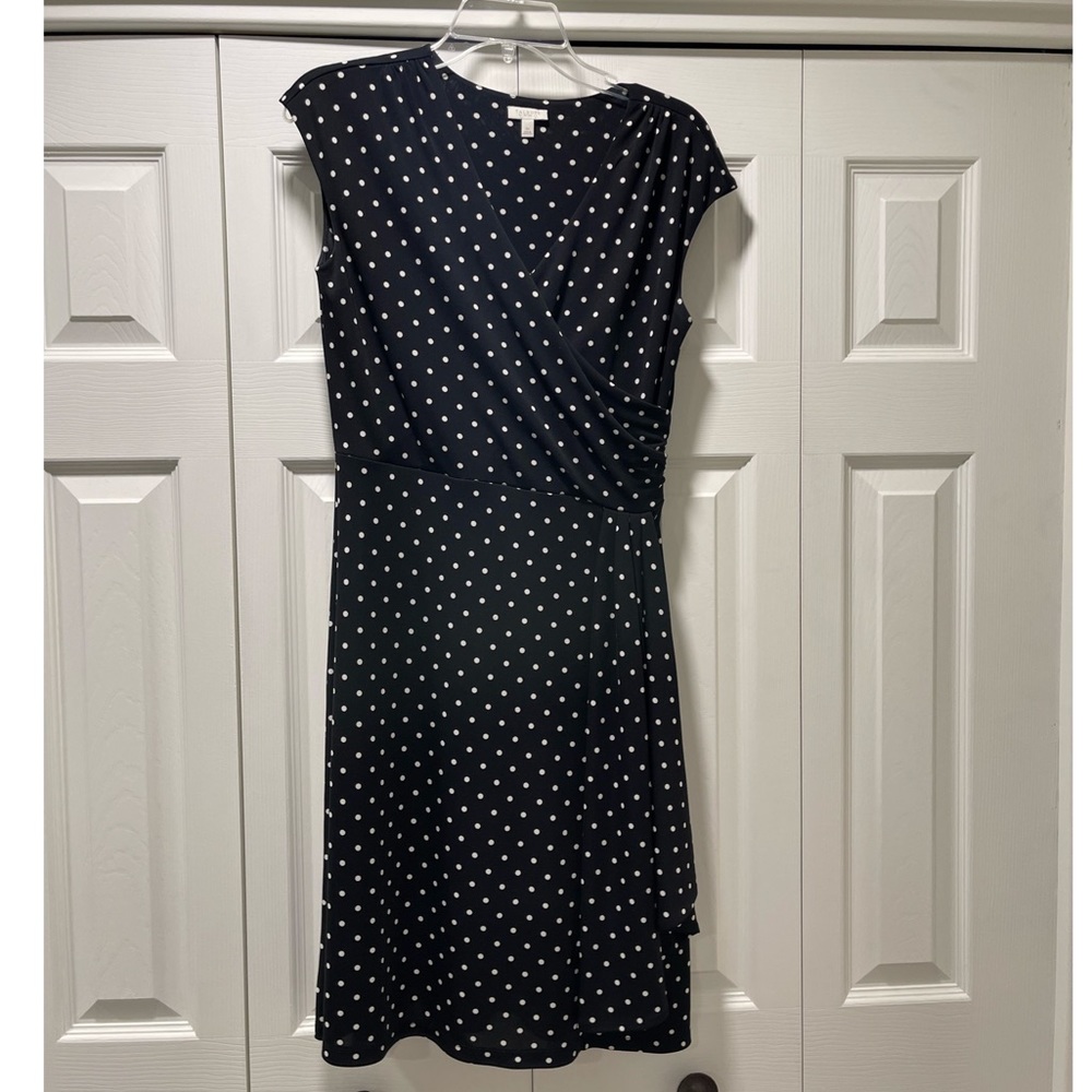Talbots Polka Dot Dress